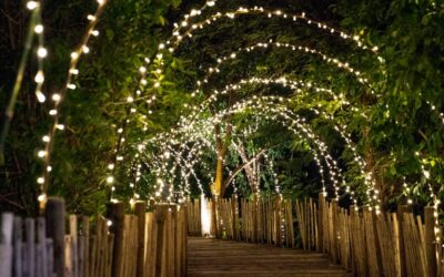 Iluminación Led en el diseño de exteriores